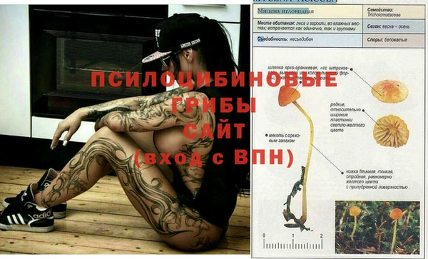 дистиллят марихуана Горнозаводск